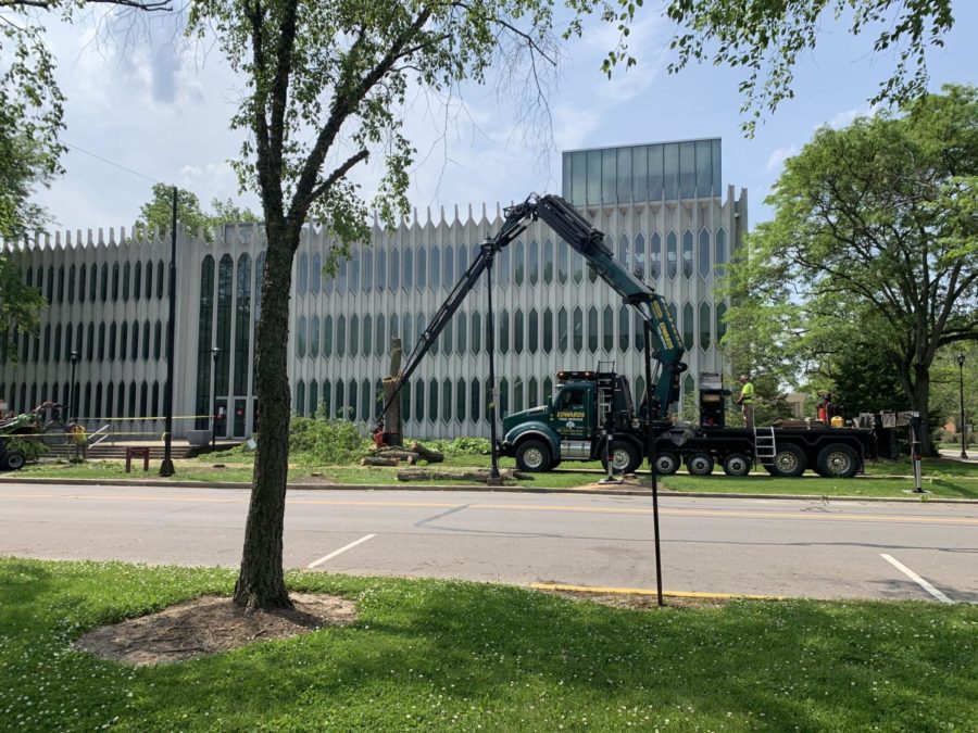 Over the last few weeks, nearly 100 trees have been cut down on campus to complete the Sustainable Infrastructure Program. As part of the plan, all trees will be replaced with trees native to northeast Ohio. 